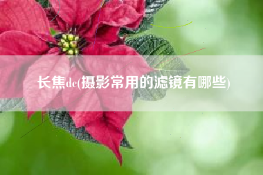 长焦dc(摄影常用的滤镜有哪些)