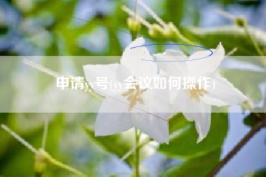 申请yy号(yy会议如何操作)
