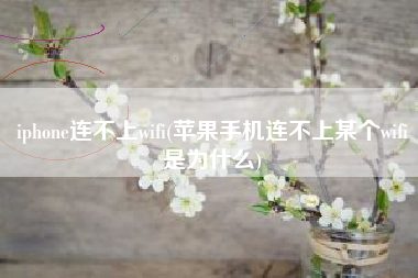 iphone连不上wifi(苹果手机连不上某个wifi是为什么)