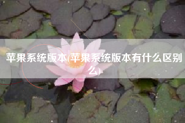 苹果系统版本(苹果系统版本有什么区别么)