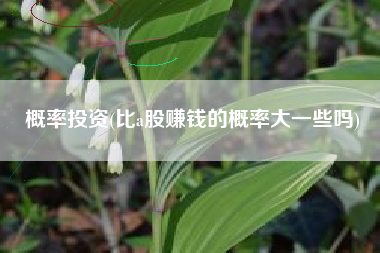 概率投资(比a股赚钱的概率大一些吗)