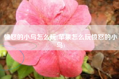 愤怒的小鸟怎么玩(苹果怎么玩愤怒的小鸟)