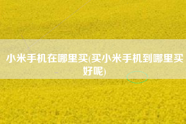 小米手机在哪里买(买小米手机到哪里买好呢)