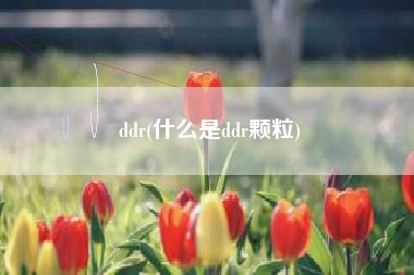 ddr(什么是ddr颗粒)