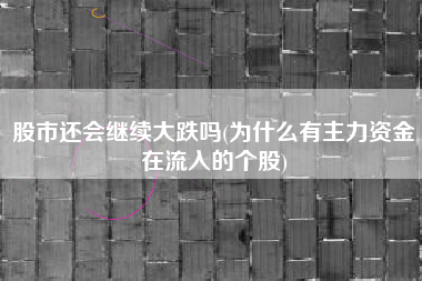股市还会继续大跌吗(为什么有主力资金在流入的个股)