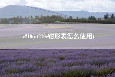 c210(ut210c钳形表怎么使用)