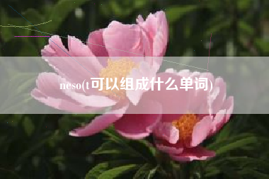 neso(t可以组成什么单词)