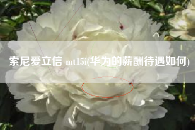 索尼爱立信 mt15i(华为的薪酬待遇如何)