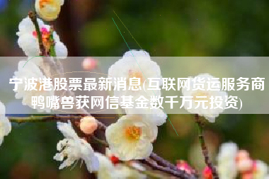 宁波港股票最新消息(互联网货运服务商鸭嘴兽获网信基金数千万元投资)