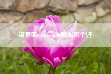 诺基亚n-gage(n96和n85哪个好)