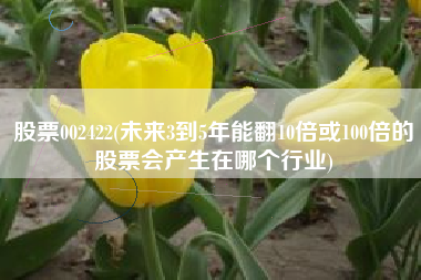 股票002422(未来3到5年能翻10倍或100倍的股票会产生在哪个行业)