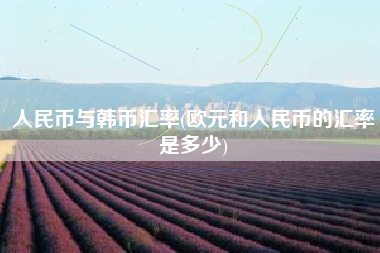 人民币与韩币汇率(欧元和人民币的汇率是多少)