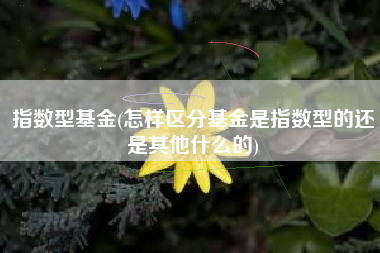 指数型基金(怎样区分基金是指数型的还是其他什么的)