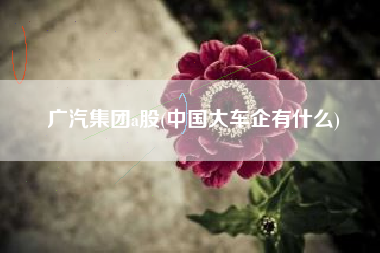 广汽集团a股(中国大车企有什么)