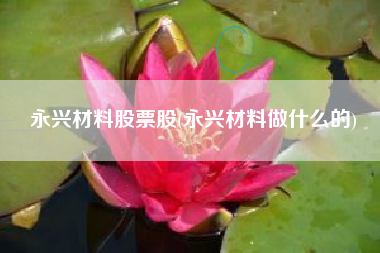 永兴材料股票股(永兴材料做什么的)