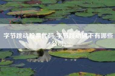 字节跳动股票代码(字节跳动旗下有哪些公司)