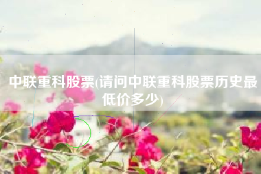 中联重科股票(请问中联重科股票历史最低价多少)