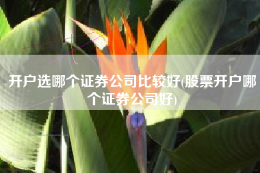 开户选哪个证券公司比较好(股票开户哪个证券公司好)