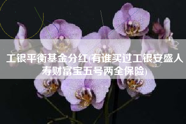 工银平衡基金分红(有谁买过工银安盛人寿财富宝五号两全保险)