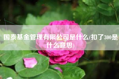 国泰基金管理有限公司是什么(扣了300是什么意思)