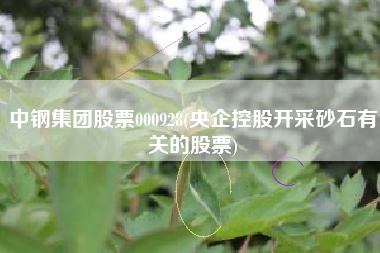 中钢集团股票000928(央企控股开采砂石有关的股票)