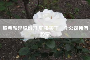 详细阅读:股票就是股份吗(如果买下一个公司所有股票) 股票就是股份吗(如果买下一个公司所有股票)