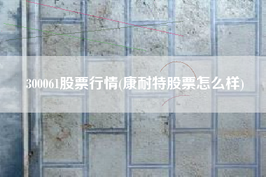 300061股票行情(康耐特股票怎么样)