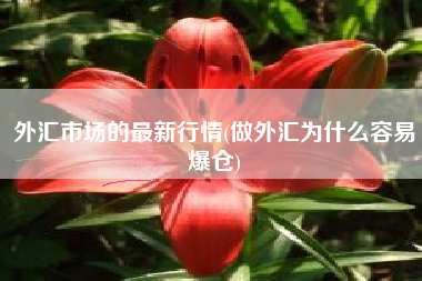 详细阅读:外汇市场的最新行情(做外汇为什么容易爆仓) 外汇市场的最新行情(做外汇为什么容易爆仓)