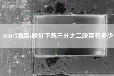 300443股票(股价下跌三分之二股票有多少)