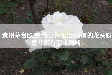 贵州茅台股票k线分析报告(所谓的龙头股是从哪方面来判断)