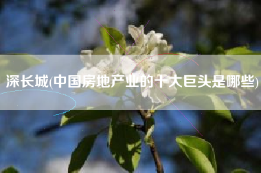 详细阅读:深长城(中国房地产业的十大巨头是哪些) 深长城(中国房地产业的十大巨头是哪些)