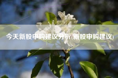 今天新股申购建议分析(新股申购建议)