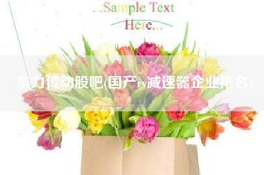 东力传动股吧(国产rv减速器企业排名)