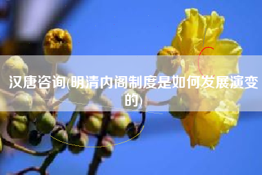 汉唐咨询(明清内阁制度是如何发展演变的)