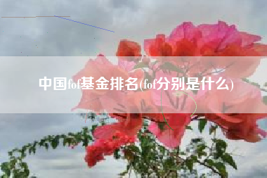 中国fof基金排名(fof分别是什么)