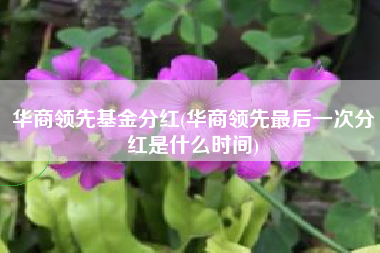 华商领先基金分红(华商领先最后一次分红是什么时间)