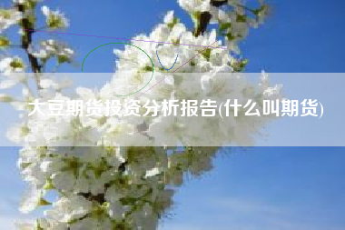大豆期货投资分析报告(什么叫期货)
