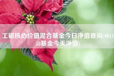 工银核心价值混合基金今日净值查询(001158基金今天净值)