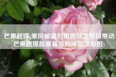 芒果超媒(乘风破浪的姐姐综艺节目带动芒果超媒股票暴涨的深层次原因)
