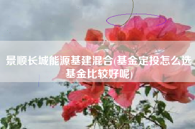 景顺长城能源基建混合(基金定投怎么选基金比较好呢)