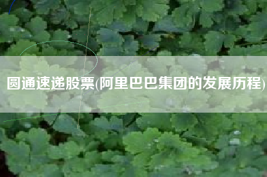 圆通速递股票(阿里巴巴集团的发展历程)