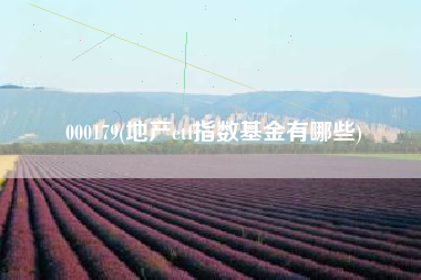 000179(地产etf指数基金有哪些)