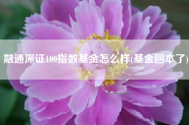 融通深证100指数基金怎么样(基金回本了)