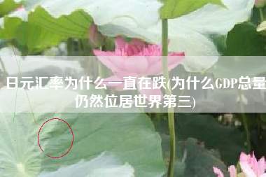 日元汇率为什么一直在跌(为什么GDP总量仍然位居世界第三)
