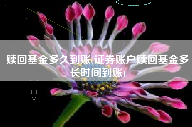 赎回基金多久到账(证券账户赎回基金多长时间到账)