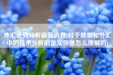 外汇走势分析最新消息(对于股票和外汇中的技术分析的定义你是怎么理解的)