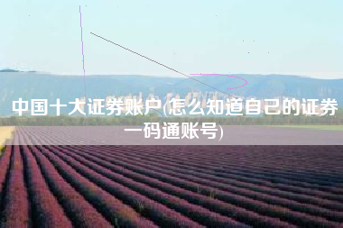 中国十大证券账户(怎么知道自己的证券一码通账号)