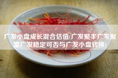 广发小盘成长混合估值(广发聚丰广发聚富广发稳定可否与广发小盘转换)