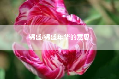 锦盛(锦盛年华的意思)