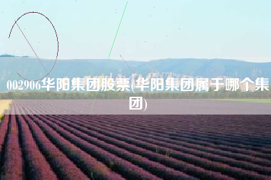 002906华阳集团股票(华阳集团属于哪个集团)